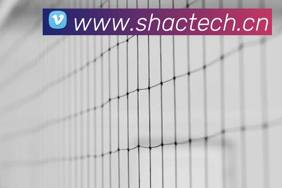 beat365官方网站入口品牌故事